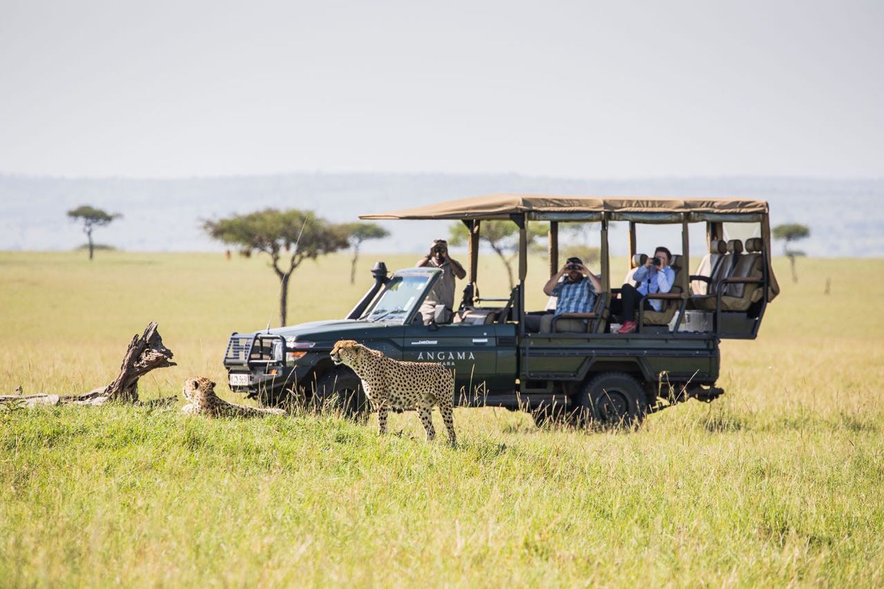 South Africa Safari
