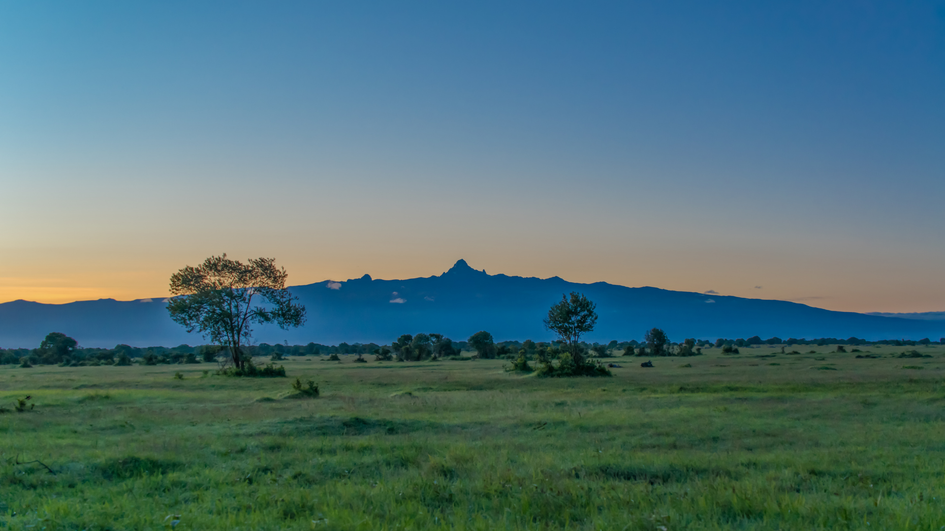 Kenya Safari Adventure